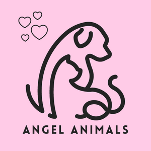 Angel Animals