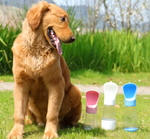 Charger l'image dans la galerie, Bouteille d'eau portable - Blanche