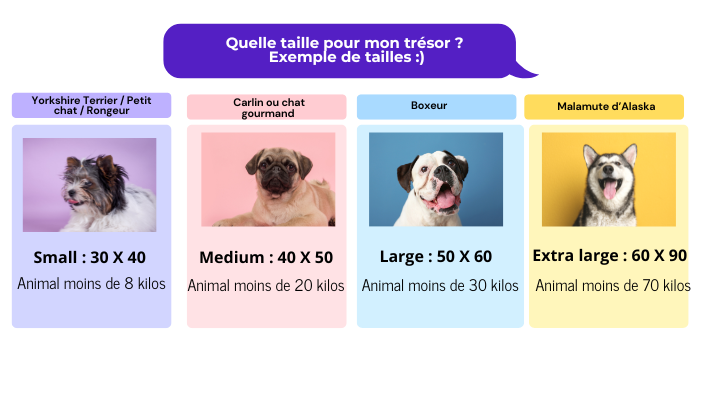 Tapis refroidissant pour animaux de compagnie - Lapin & Carottes jaune