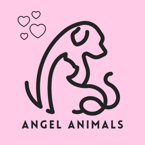 Angel Animals 